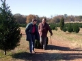 Ho Ho Ho Tree work