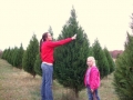 Final Pruning