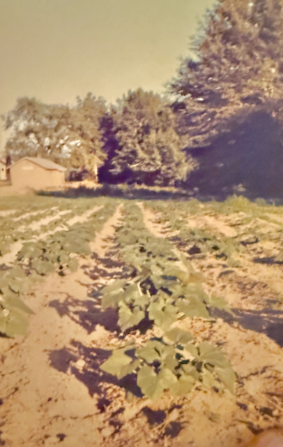 A Couple of the Hardworking Folks of Inman