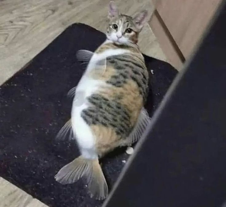 Date Night at The Country Kitchen – Like in the Old Days